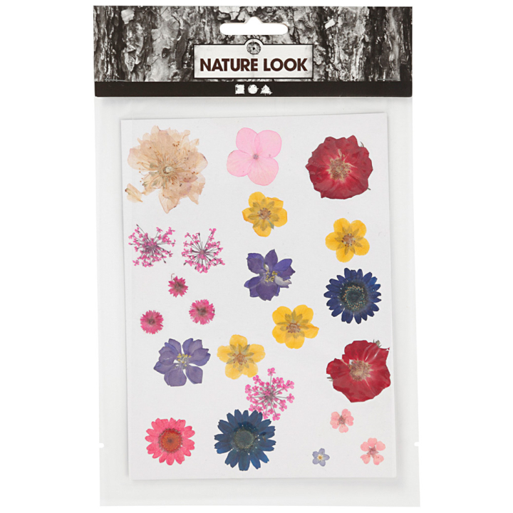 Tørkede blomster og blader Blandede farger i gruppen Hobby & Kreativitet / Skape / Scrapbooking hos Pen Store (130767)