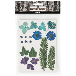 Tørkede blomster og blader Blå i gruppen Hobby & Kreativitet / Skape / Scrapbooking hos Pen Store (130762)
