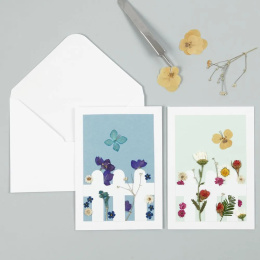 Tørkede blomster og blader Blå i gruppen Hobby & Kreativitet / Skape / Scrapbooking hos Pen Store (130762)