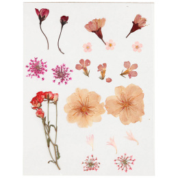 Tørkede blomster og blader Lys rosa i gruppen Hobby & Kreativitet / Skape / Scrapbooking hos Pen Store (130763)